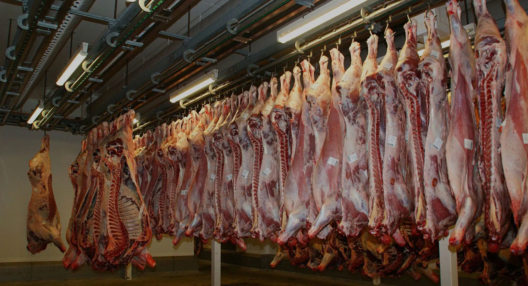 Carne di qualità